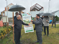 امضای تفاهم&zwnj;نامه و کاشت ۴۰ اصله نهال با عنوان &laquo;درخت انقلاب&raquo; در دانشگاه آزاد اسلامی انزلی&nbsp;