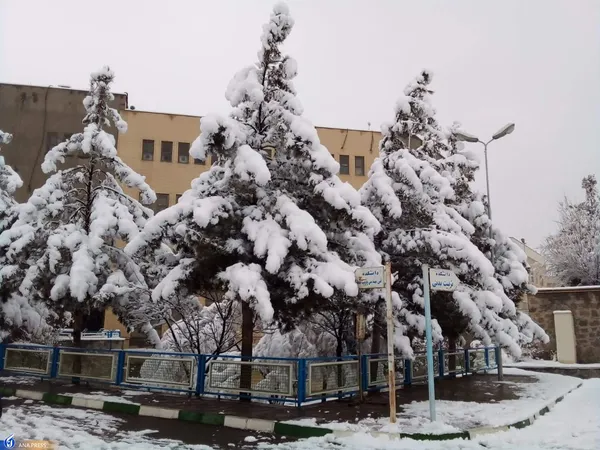 دانشگاه آزاد اسلامی واحد قم در یک روز برفی