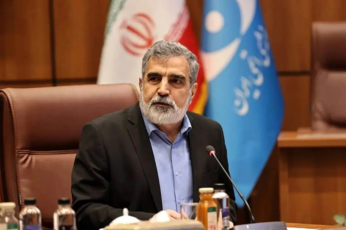 بهروز کمالوندی
سخنگوی سازمان انرژی اتمی
سازمان انرژی اتمی
سازمان انرژی اتمی ایران
انرژی هسته‌ای