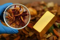 کشف گنج پنهان در ضایعات غذایی