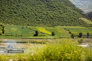 منطقه سرسبز و توریستی هزارجریب مازندران