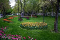 فضای سبز تهران باید بر پایه مطالعات علمی و هوشمندسازی مدیریت شود/ انتخاب گونه‌های گیاهی متناسب با اقلیم هر منطقه