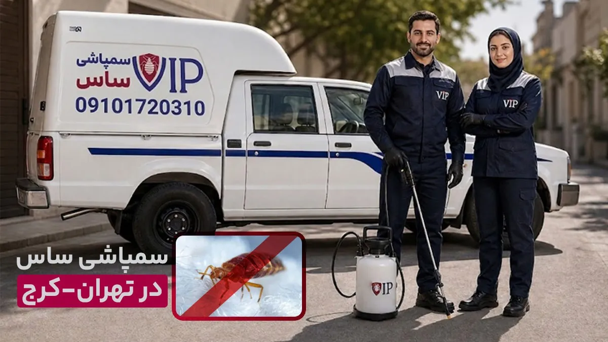 خدمات تخصصی شرکت سمپاشی ساس VIP در تهران و کرج با ریشه کنی 100% حشره ساس
