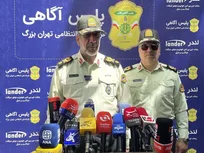 دستگیری ۲۳۰ سارق و کلاهبردار در عملیات ۷۲ ساعته پلیس