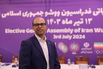 صدیقی:آرای مجمع مسئولیت من را سنگین تر کرد/ مشکل ووشو زیر ساخت ها است+فیلم