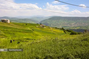 منطقه سرسبز و توریستی هزارجریب مازندران