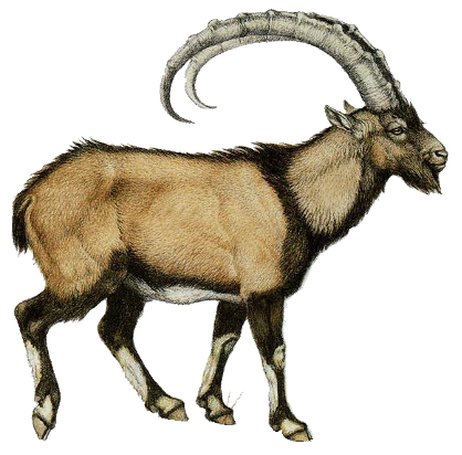 اگر به عصر پارینه‌سنگی سفر کنیم، زنده می‌مانیم؟