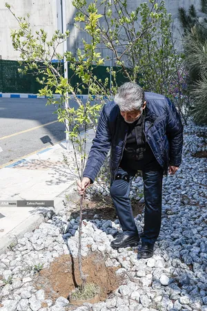 کاشت نهال امید