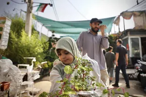 بازار گل محلاتی
