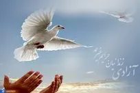 مادری با جرائم غیرعمد از حبس رهایی یافت