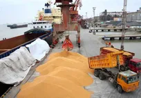 تأمین پایدار نهاده‌های دامی با وجود محدودیت‌ها/ موجودی مطلوب در انبارها و رصد نهادهای نظارتی بر بازار ادامه دارد