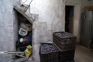 خُرو؛ پایتخت آلوی ایران