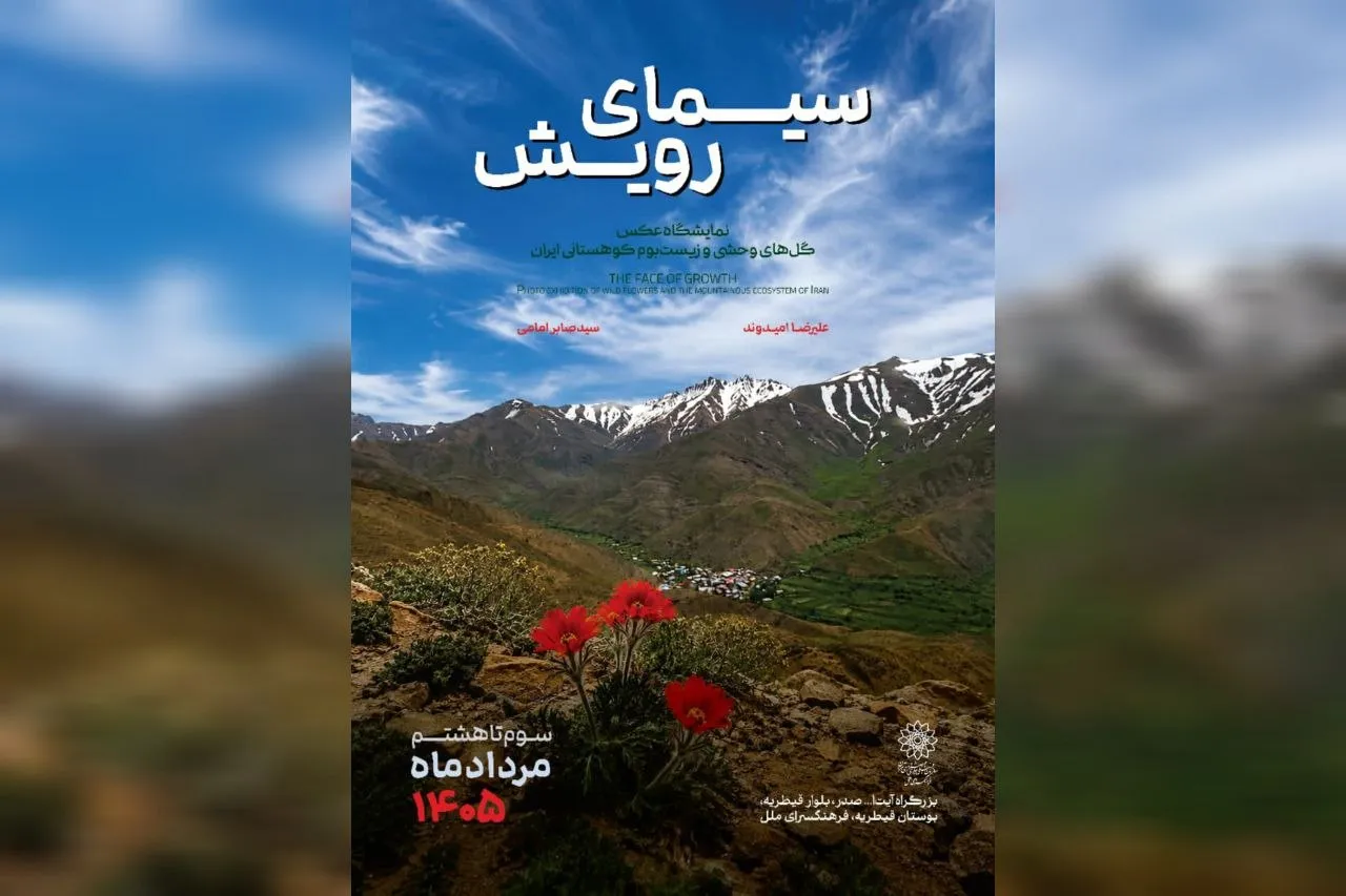 نمایشگاه عکس