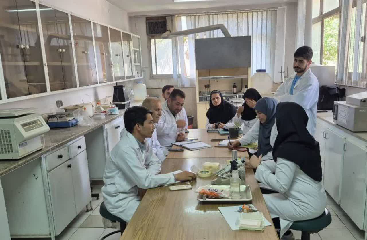 تأکید بر حفظ کیفیت آموزش در دروس عملی؛ لزوم ایجاد تعادل میان آموزش مجازی و حضوری