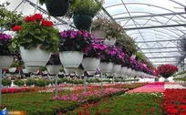 ۵۰ محصول و خدمت فناورانه در مسیر تجاری‌سازی و بازاریابی
