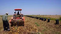 از هوش مصنوعی تا کشاورزی پایدار؛ گام‌ بلند دانشگاه آزاد در توسعه منطقه‌ای