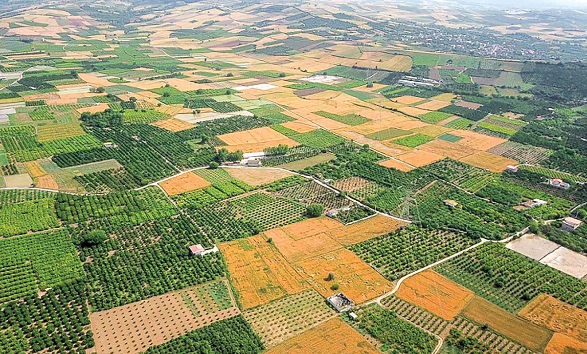 اراضی کشاورزی