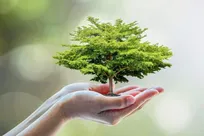  جشن حیات سیاره زمین در روز درختکاری