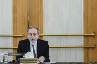 روایت عراقچی از خبرسازی کذب دیدار ایروانی و ایلان ماسک