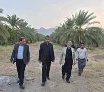دکتر رنجبر از مزرعه و نخلستان دانشگاه آزاد اسلامی واحد حاجی آباد بازدید کرد