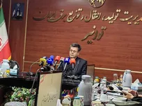 ۳۵ درصد برق کشور در صنعت مصرف می‌شود/ تأکید توانیر بر ورود دانشگاه‌ها به حل مسئله‌های واقعی صنعت برق