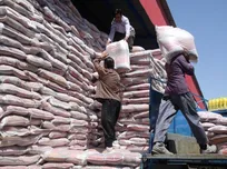 رئیس کل دادگستری هرمزگان: ادعای ریختن برنج در دریا صحت ندارد