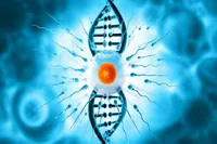 هوش مصنوعی ناباروری مردان را با آزمایش خون تشخیص می‌دهد