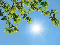 هشدار هواشناسی؛ تداوم گرمای ۴۰ درجه‌ای تهران و وزش باد شدید در شرق کشور