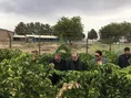 بازدید