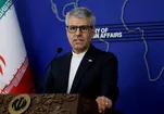 بقائی: کانادا با حمایت از ادعای پوچ امارات، شاخه‌ای را که روی آن نشسته می‌برد