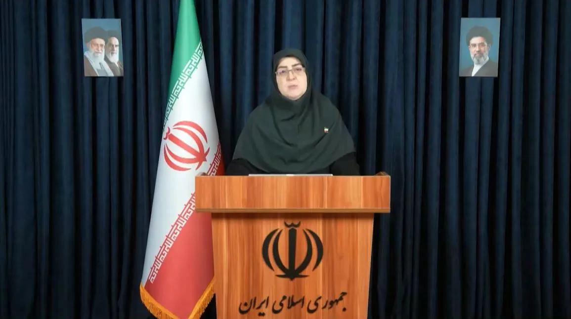 فاطمه مهاجرانی
سخنگوی دولت