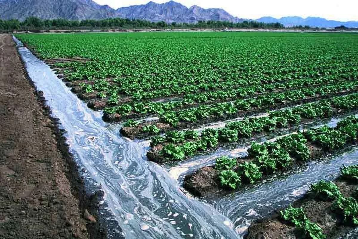 «کشاورزی و آب» محور برنامه‌های برش استانی اقتصاد دانش‌بنیان در قزوین