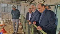 تصویر/ بازدید دکتر طهرانچی از مجتمع آزمایشگاهی و مزارع تحقیقاتی دانشگاه آزاد ورامین-پیشوا و قرچک
