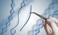 علم چگونه ژن‌های ما را تعمیر می‌کند