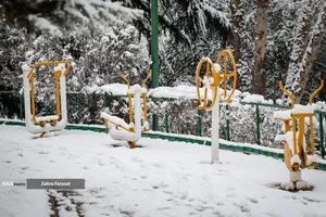 بارش برف زمستانی در تهران 