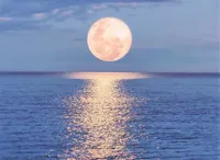 دانش بشر حکایت از وضعیت نگران‌کننده اقیانوس‌ها و دریا‌ها دارد