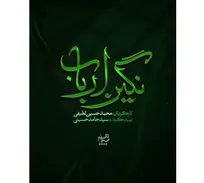 رونمایی از لوگوی رسمی سریال «نگین ارباب»
