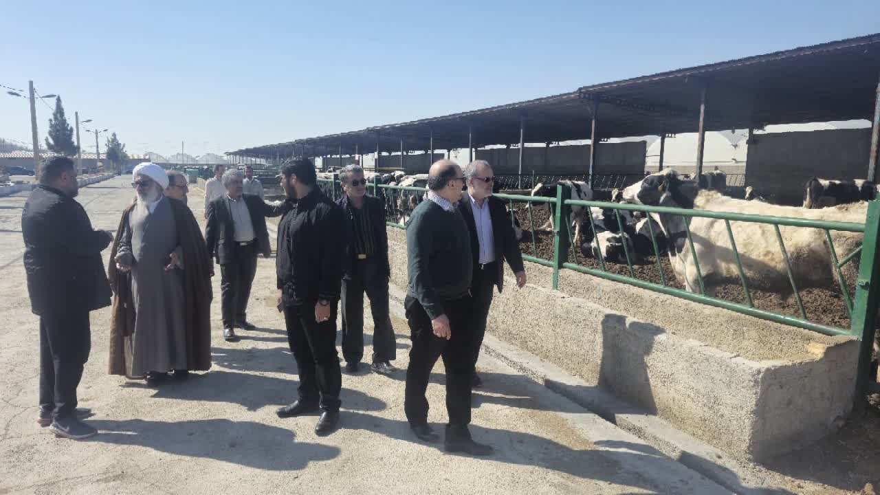 دانشگاه آزاد واحد ورامین-پیشوا الگویی موفق در پیوند علم و تولید است دانشگاه آزاد واحد ورامین-پیشوا الگویی موفق در پیوند علم و تولید است