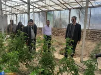 لزوم گسترش فعالیت‌های اقتصادی دانش‌بنیان در دانشگاه آزاد سیستان و بلوچستان