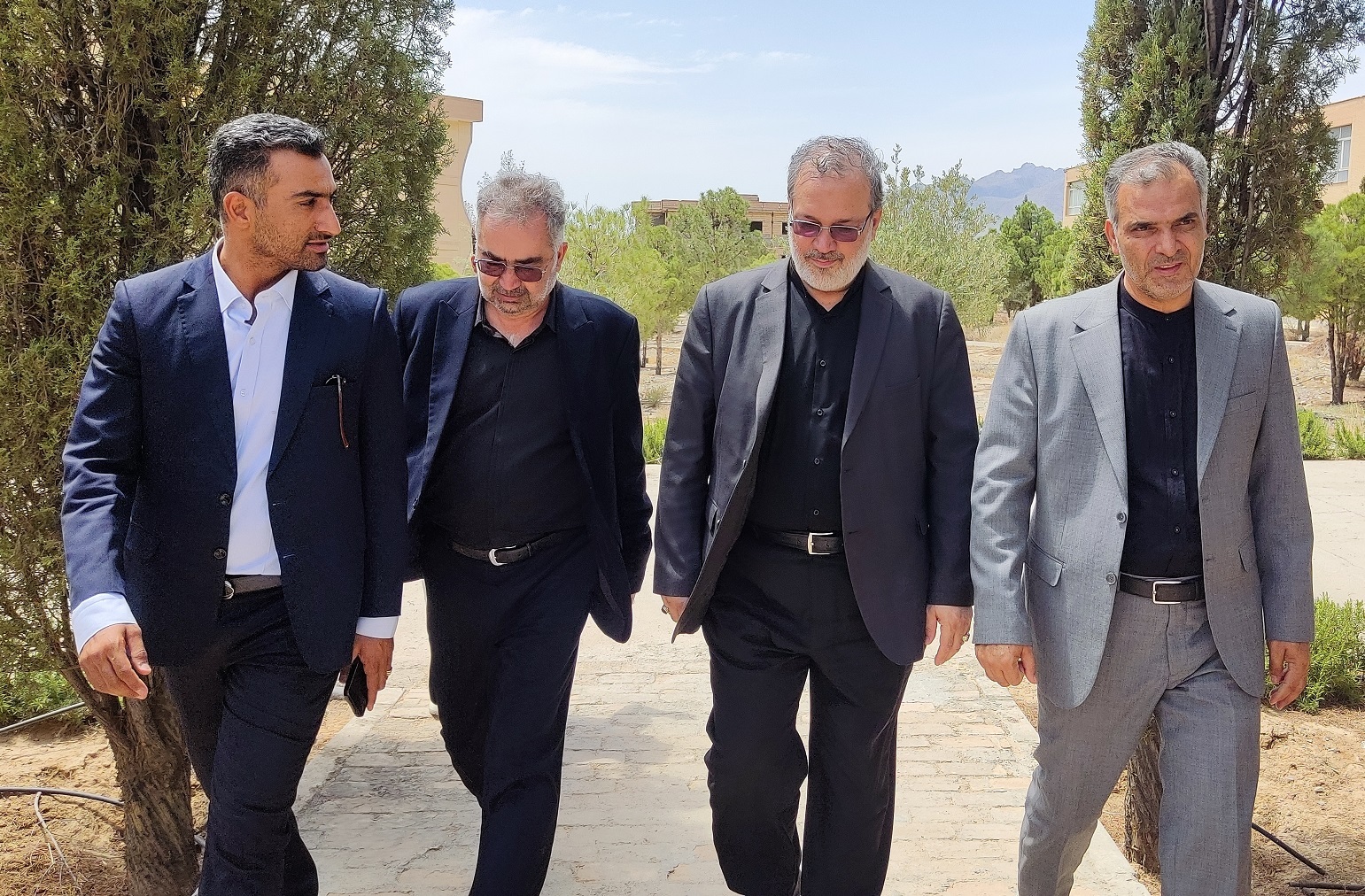 بازدید