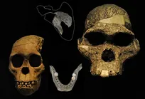 کشف شواهدی از آدم‌خواری در میان اروپاییان باستان