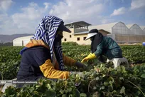 تولید ملی برای آبادانی مناطق محروم