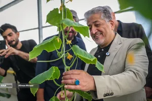 افتتاح سرای نوآوری کشاورزی واحد علوم و تحقیقات با حضور دکتر رنجبر رئیس دانشگاه آزاد اسلامی