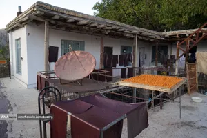 خُرو؛ پایتخت آلوی ایران