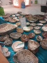 تجاری‌سازی هنر سنگ با رویکرد علمی در شمال کشور