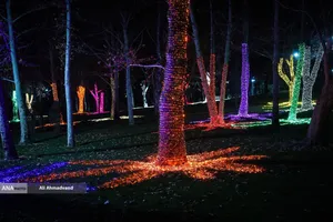 جشنواره نور در یلدای ایرانی