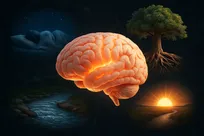 این عادت‌های ساده می‌توانند مغز شما را ۸ سال جوان‌تر کنند