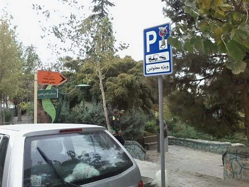 جانبازان معلولان