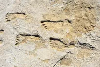 کشف ردپای ۲۳ هزار ساله انسان‌های قدیمی در نیومکزیکو