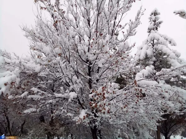 دانشگاه آزاد اسلامی واحد قم در یک روز برفی